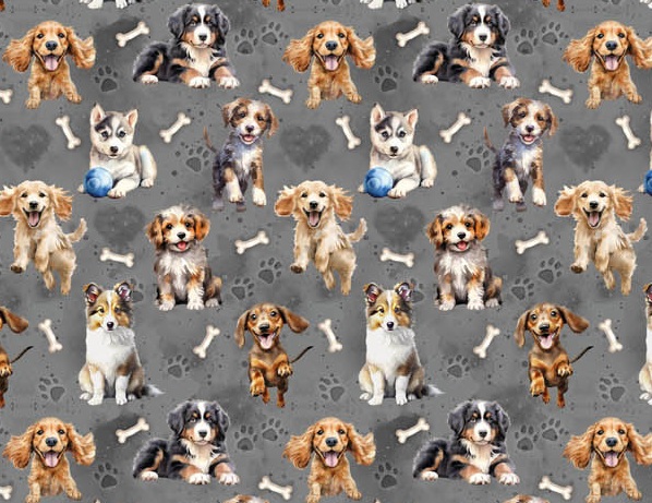 SPODNIE przeciwdeszczowe dla dzieci, softshell, hello rain, pieski 92 PL Rozmiar 92