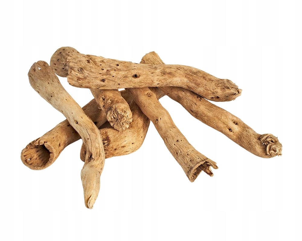 

Kopi cones susz 11-15 cm wystrój terrarium