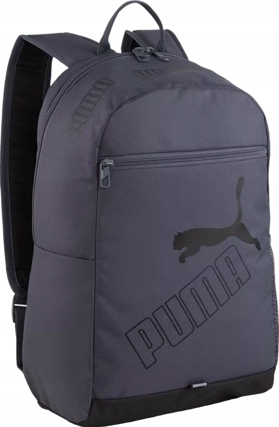 PLECAK PHASE II PUMA