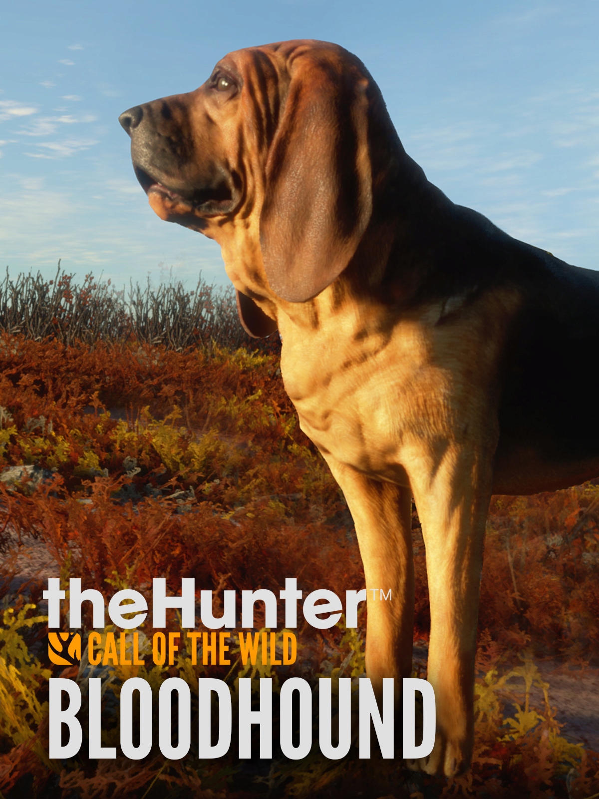 theHunter: Call of the Wild Bloodhound (pc) Steam Klucz
