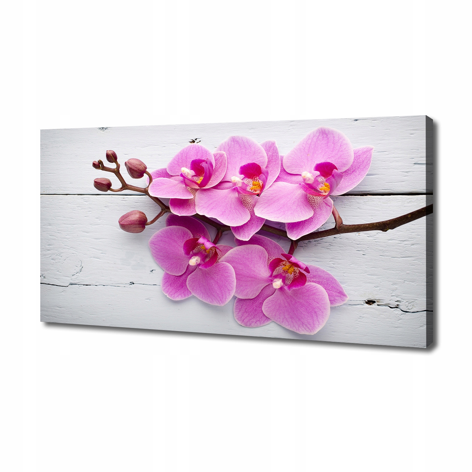 

Foto obraz na płótnie Orchidea na drewnie 140x70cm