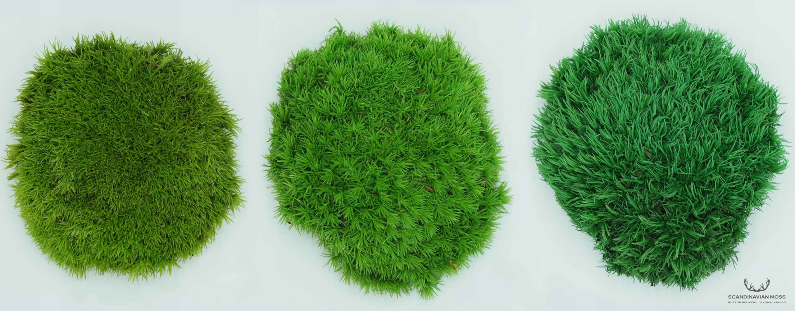 Mech Poduszkowy karton 200g NETTO z Turcji Marka bez marki