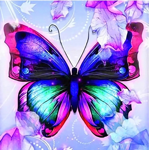 

Malowanie Po Numerach Motyl Motyle Obraz 40x50