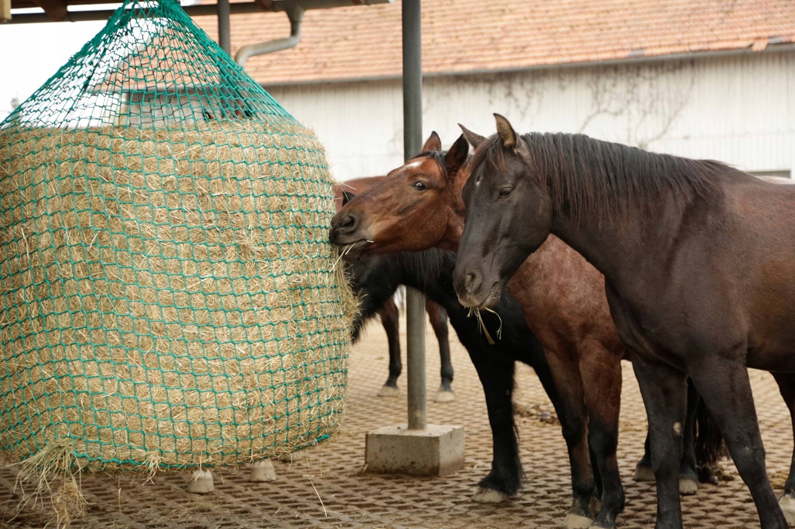 Síťka Na Seno Pro Koně Zelená K Zavěšení 150 x 180 cm Očko 4,5 cm