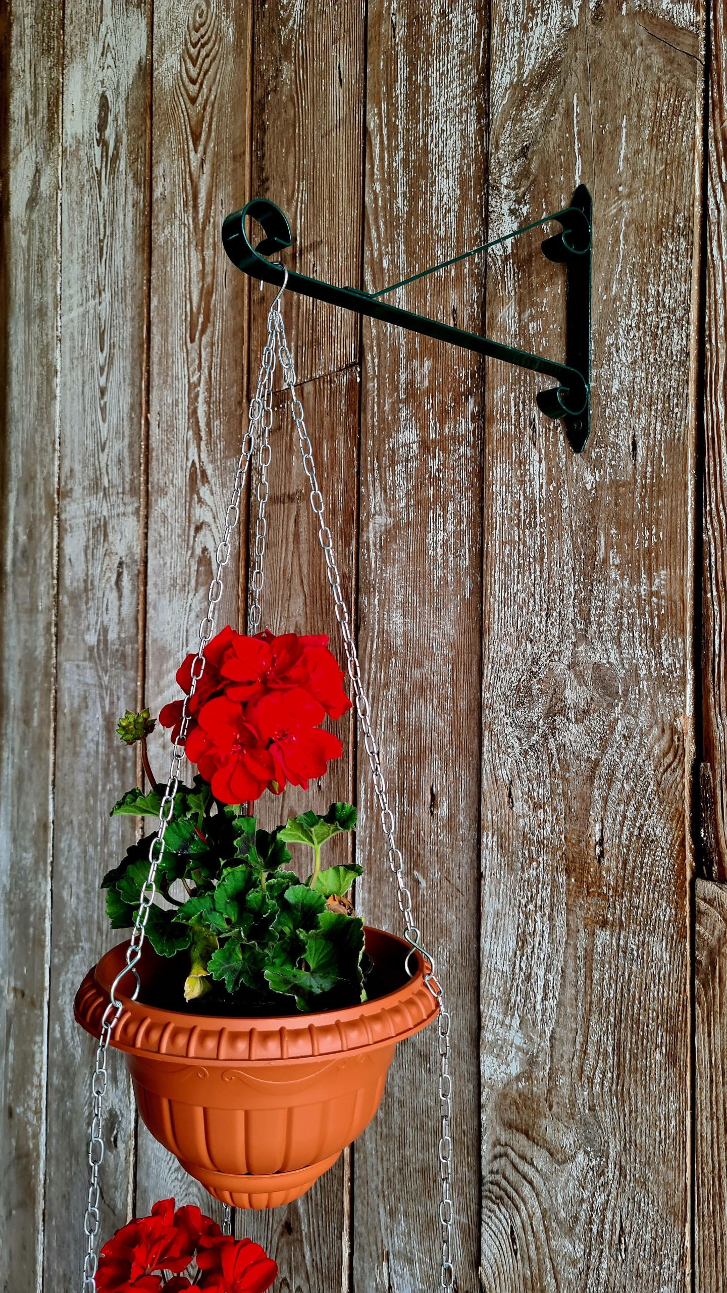 Hak ścienny do doniczki balkonowej WIESZAK NA BALUSTRADĘ zielony UCHWYT Materiał wykonania metal