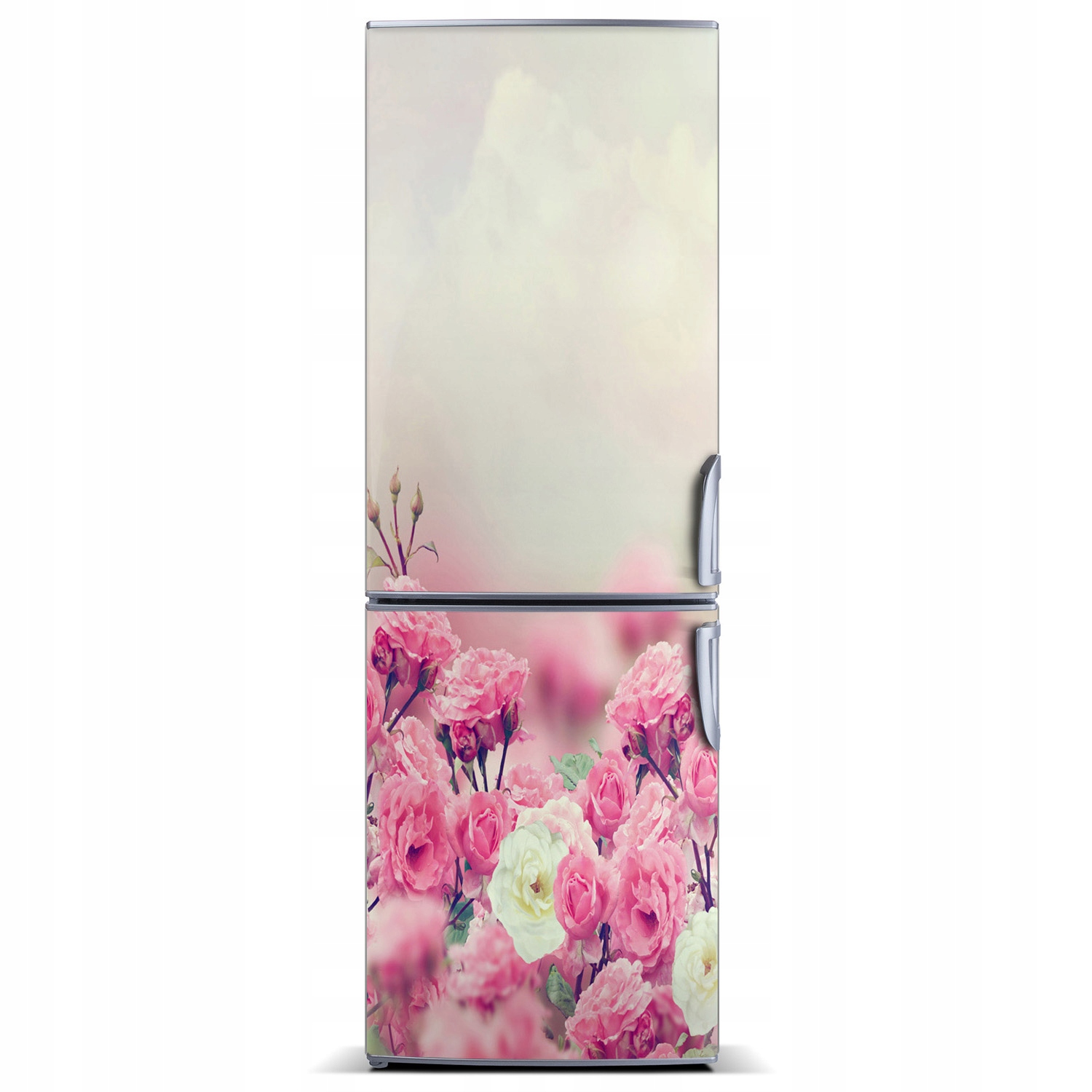 

Naklejka magnetyczna Magnes Dzika róża 60x180