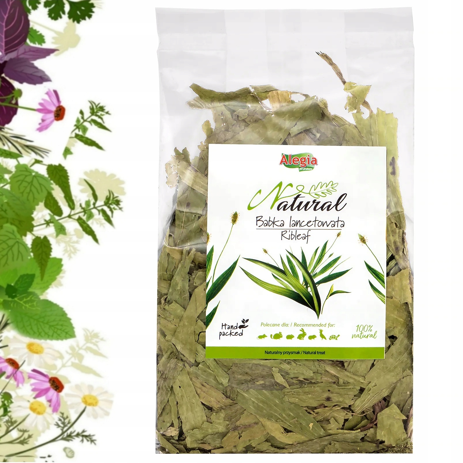 ALEGIA BABKA LANCETOWATA NATURALNY PRZYSMAK DLA GRYZONI I KRÓLIKÓW 300g