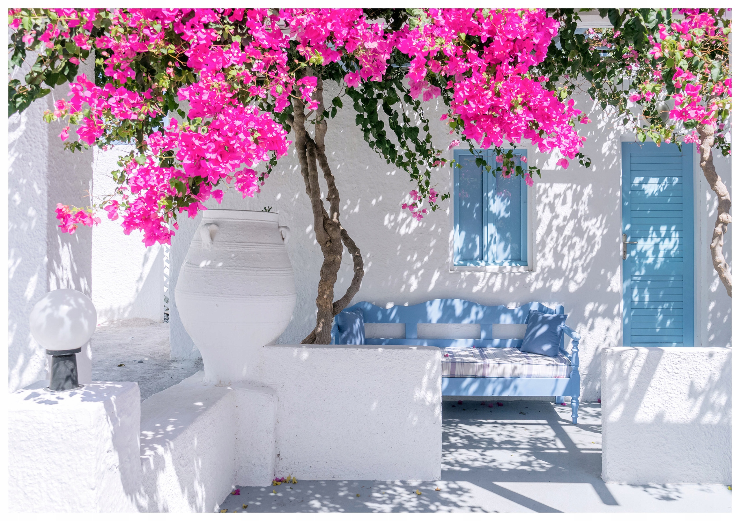 Fototapeta Bugenwilla Květiny na bílém pozadí Provence 400x280 lepidlo