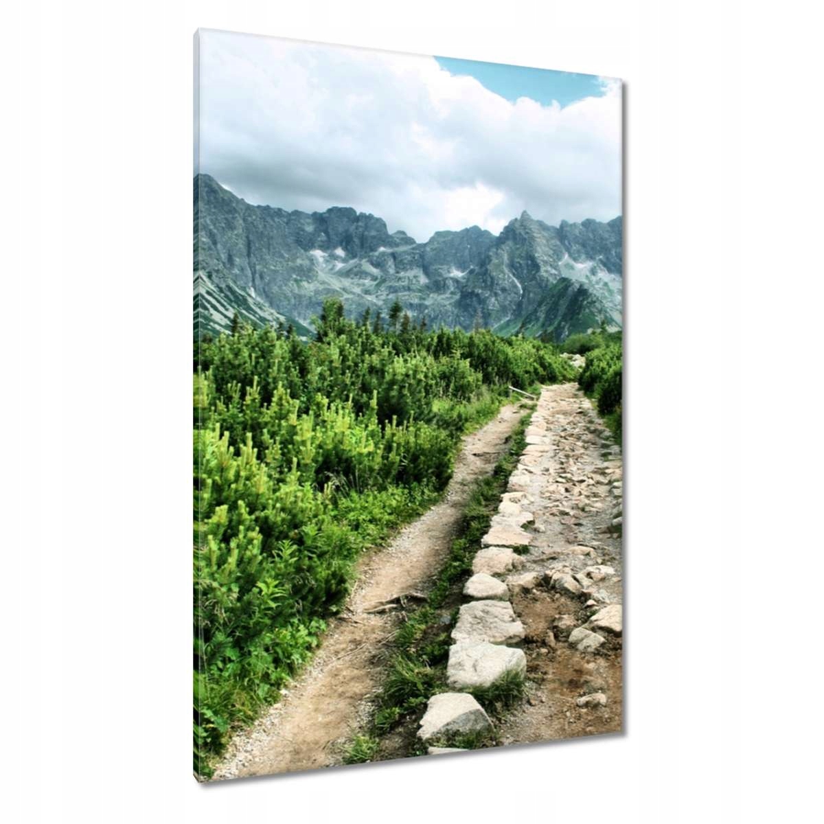 Obrazy 80x120 Kamenná cesta Tatry
