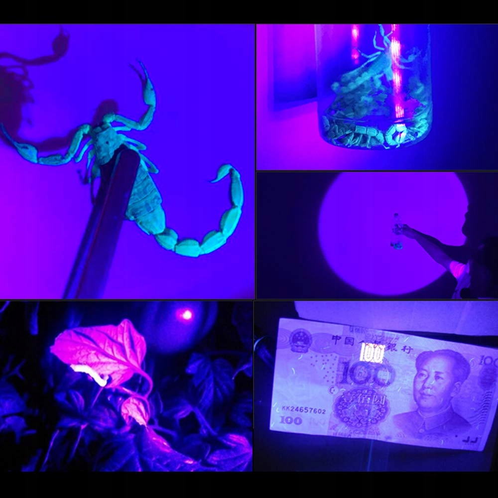 WESLITE Latarka Czołowa UV Ładowalna Do Nocnego Wędkowania i Skorpionów — miniatura 6