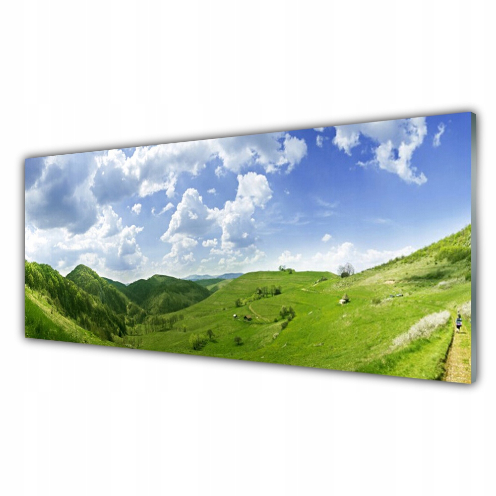 

Fotoobraz ścienny 125x50 Góra Łąka Przyroda Pole