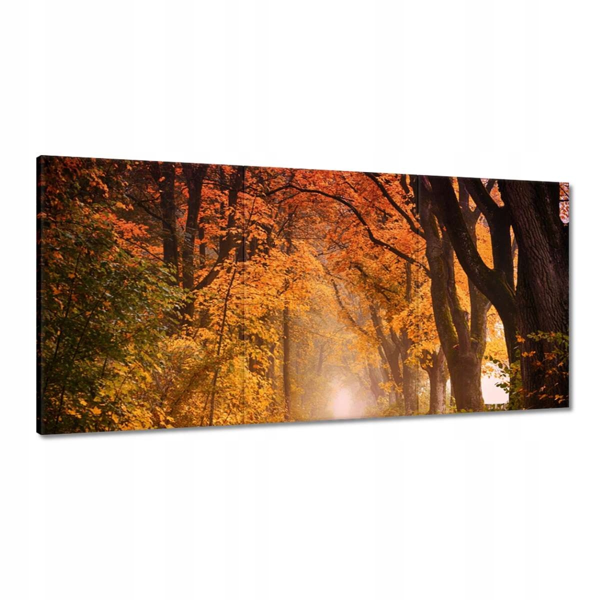 Obrazy 180x90 Jesenný pohľad