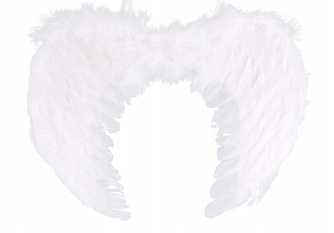 

Skrzydła Anioła Białe Anielskie Pióra Anioł