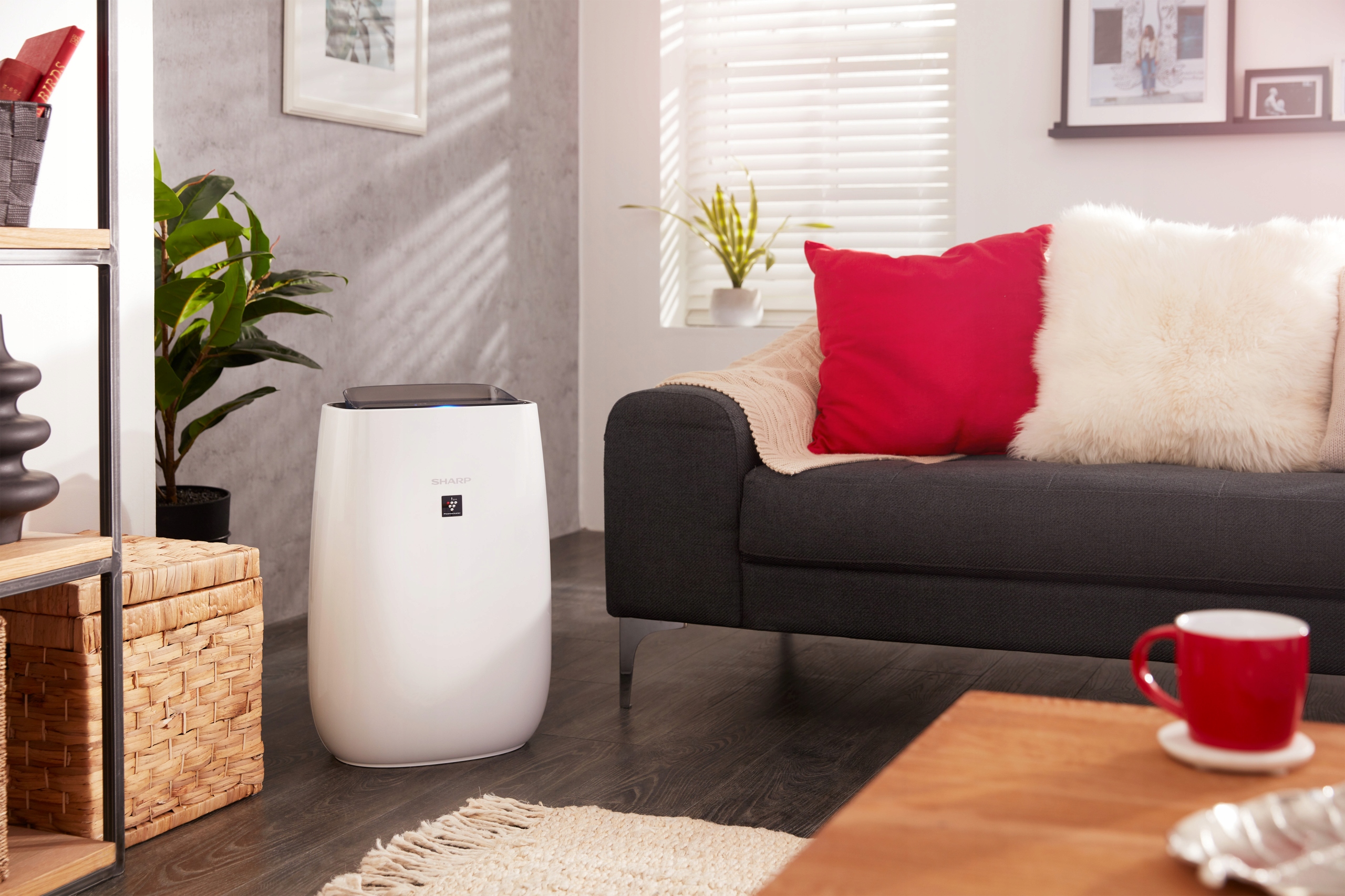 Oczyszczacz powietrza Sharp FP-J40EU-W + jonizator Maksymalna wielkość pomieszczenia 30 m²