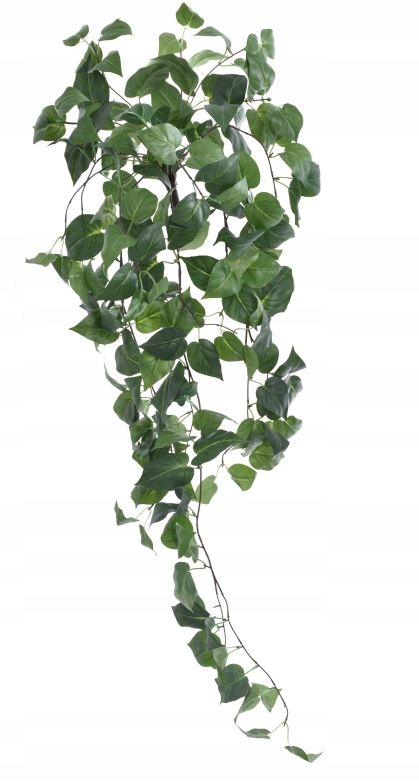 

Potos girlanda Bluszcz liście zielona ściana 100cm