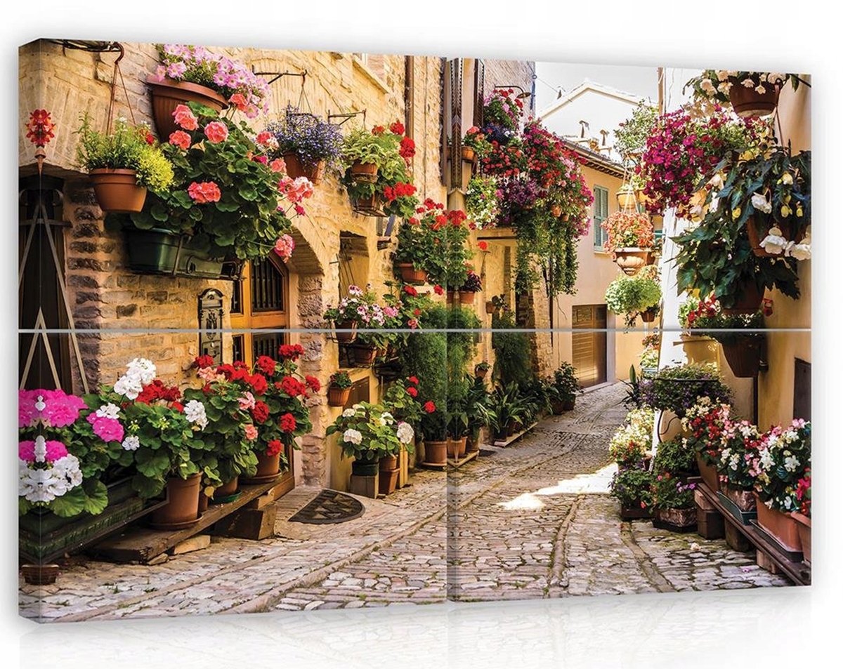 Obraz Na Plátne Canvas 120x80 Ulička Kvety Mesto Pohľad