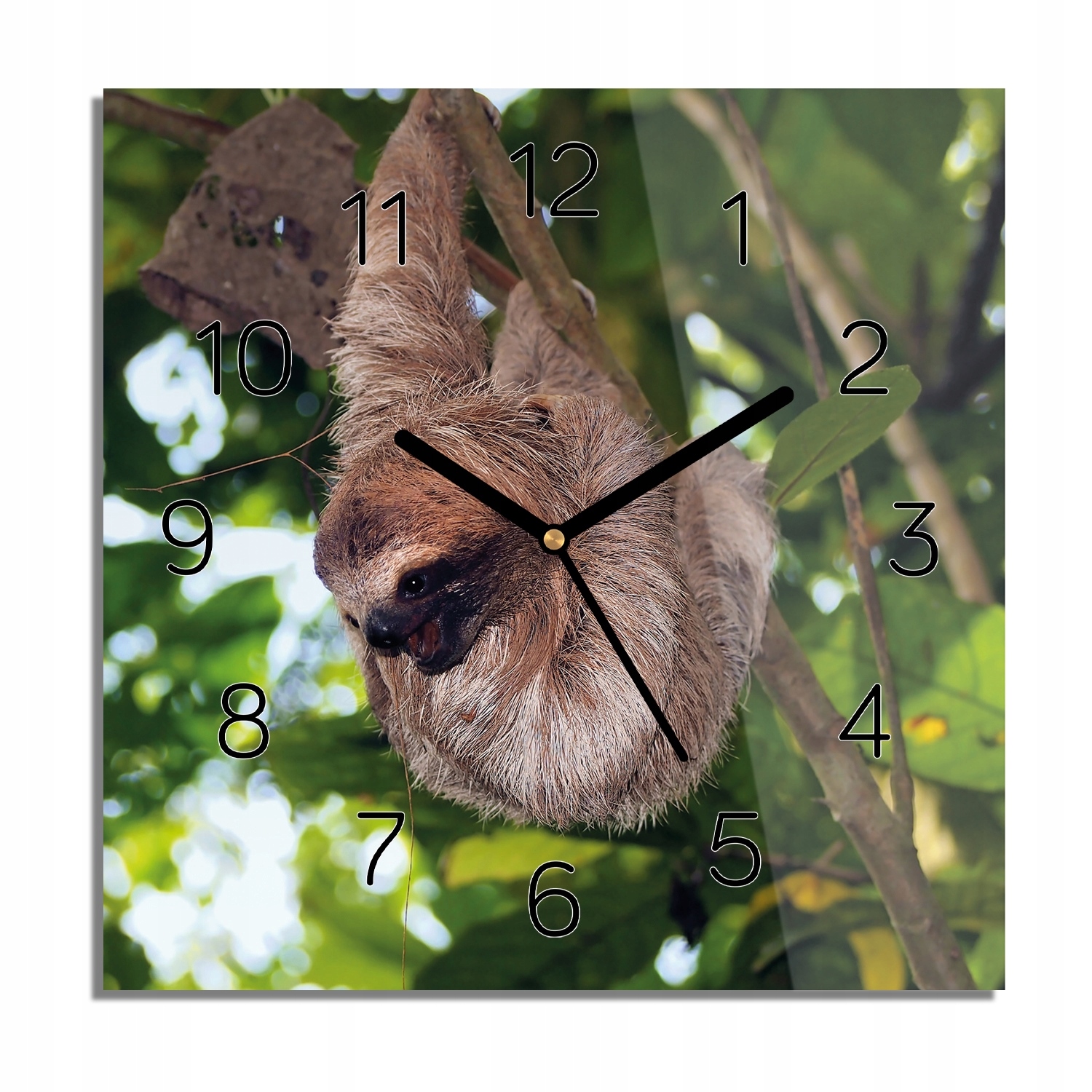 Závěsný lenochod les foto-hodiny na zeď 30x30