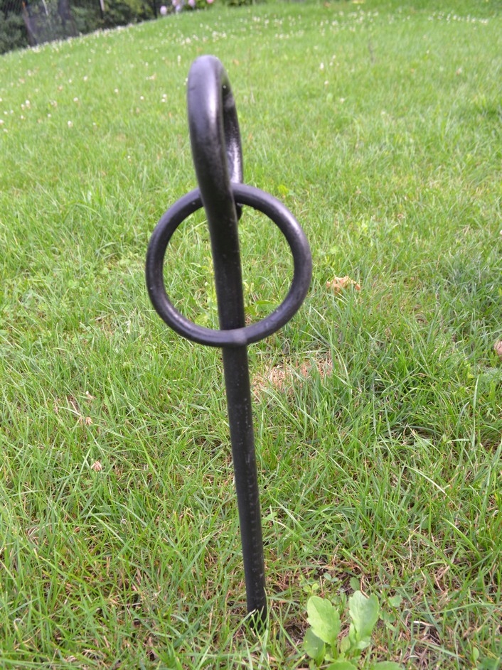 

Pal łąkowy z koluchem