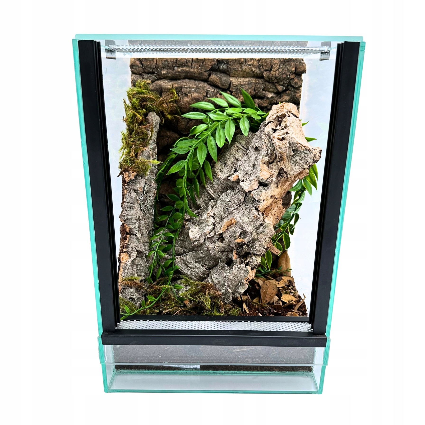 Terrarium szklane z wyposażeniem 20x20x30cm Zestaw dla Pająków Nadrzewnych