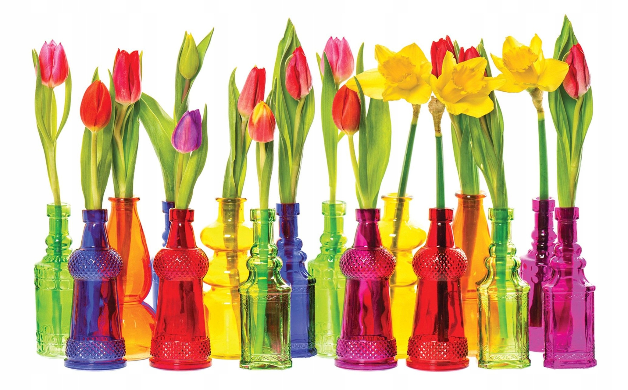 Vliesová fototapeta Tulipány Narcisy Jaro v domě 300x210 lepidlo