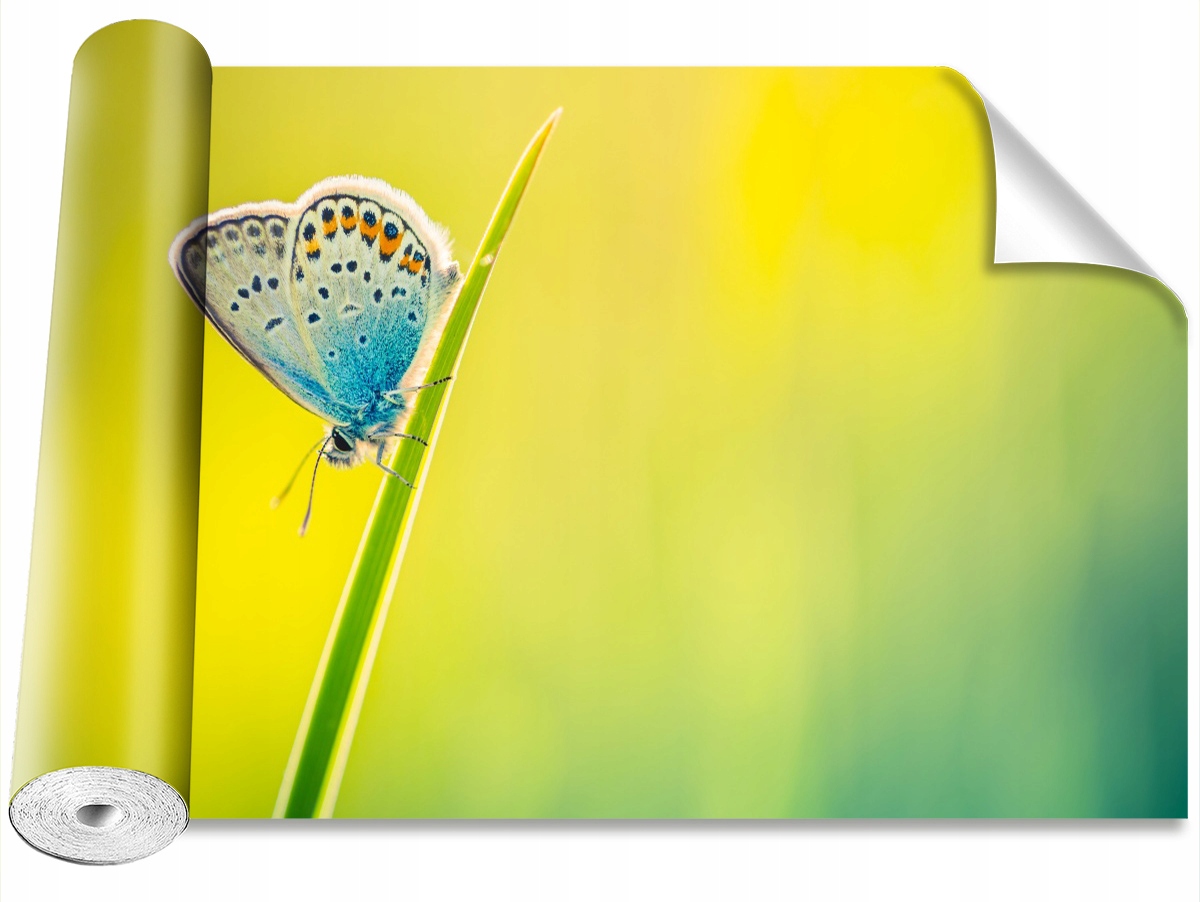 

Tapeta Samoprzylepna MagicStick Motyl 104x70