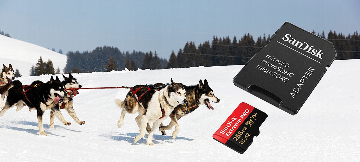 Karta pamięci microSD SanDisk Extreme PRO microSDXC 256GB 256 GB 200Mb/s Pojemność karty 256 GB