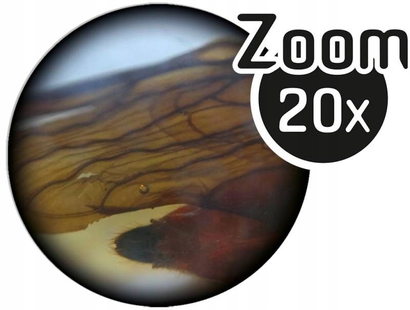 Mikroskop dwuokularowy 40 doświadczeń Buki Certyfikaty, opinie, atesty CE