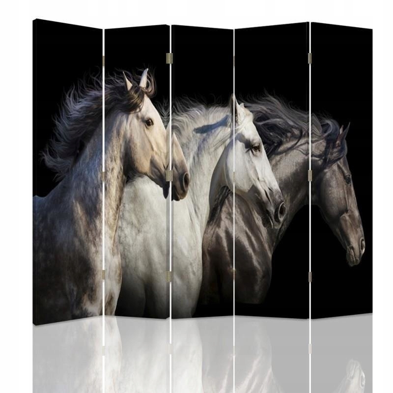 Dekorační Paraván Oboustranný Koně Galop 180x170