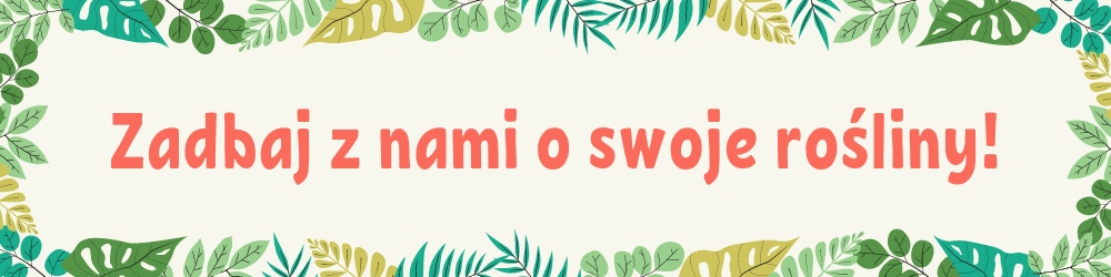 DONICZKA KAMIONKA NA KWIATY OLIWKA WZÓR FALE 123 Marka Kaemingk