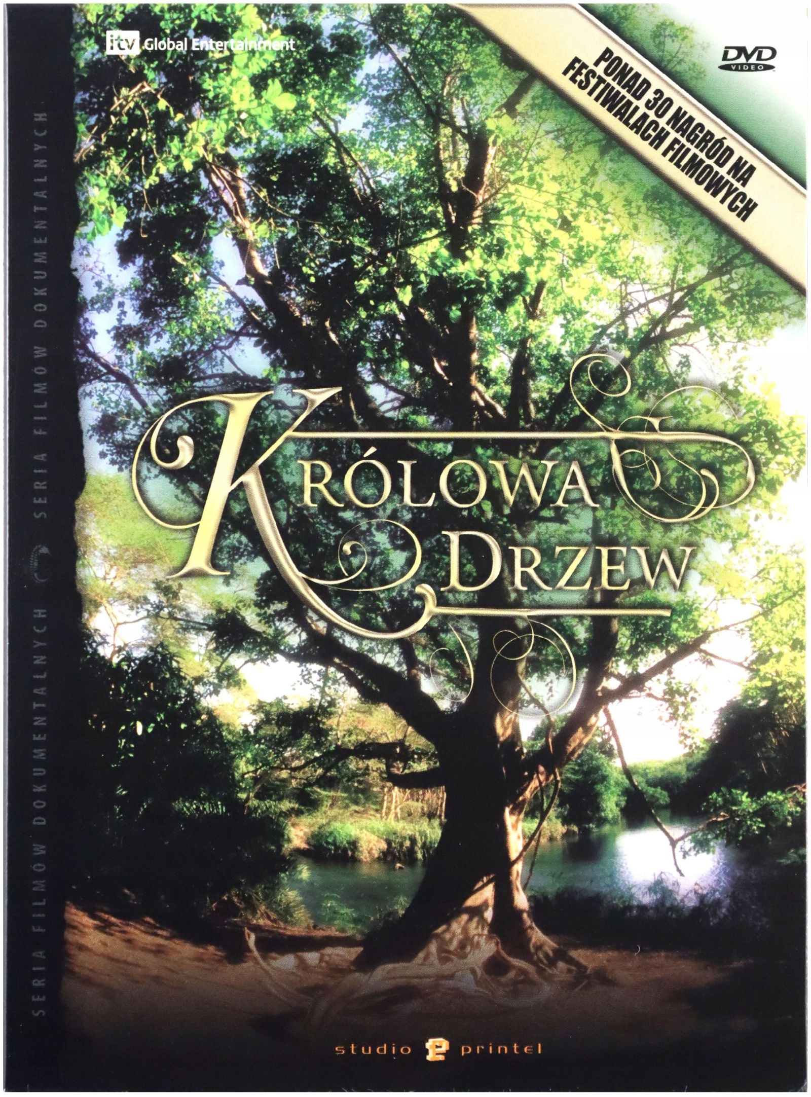 

Królowa Drzew (DVD) (digipack) Lektor Pl