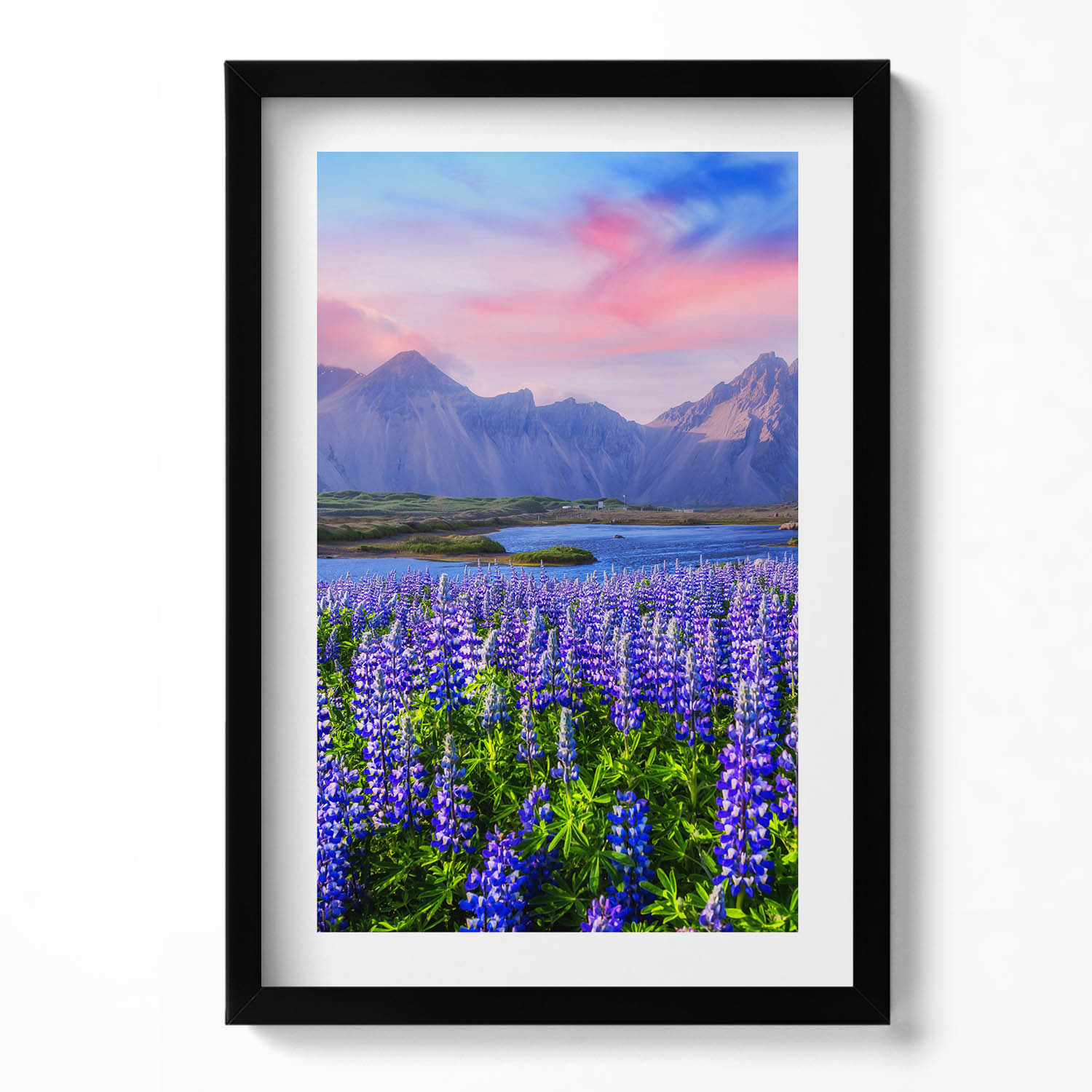 Obraz v černém rámu nástěnná dekorace Levandulová pole Island 40x60 cm