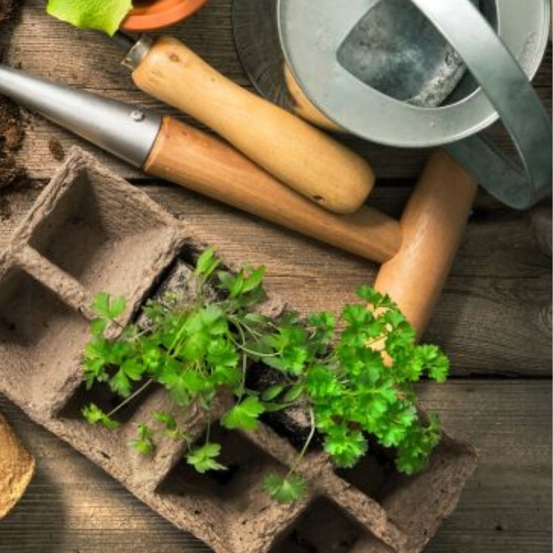 DONICZKI TORFOWE BIODEGRADOWALNE NA ROZSADY SADZONKI ZESTAW 20x + ETYKIETY Szerokość produktu 4 cm