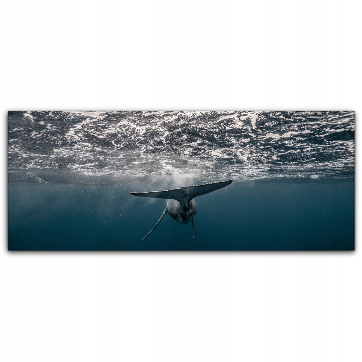 

Obraz na płótnie z foto 125x50 Wieloryb Ocean Woda