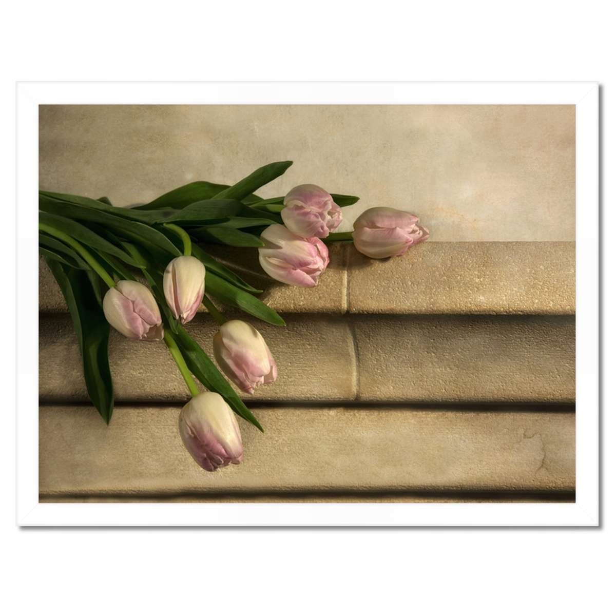 Plakáty v rámu 40x30 Kytice růžových tulipánů