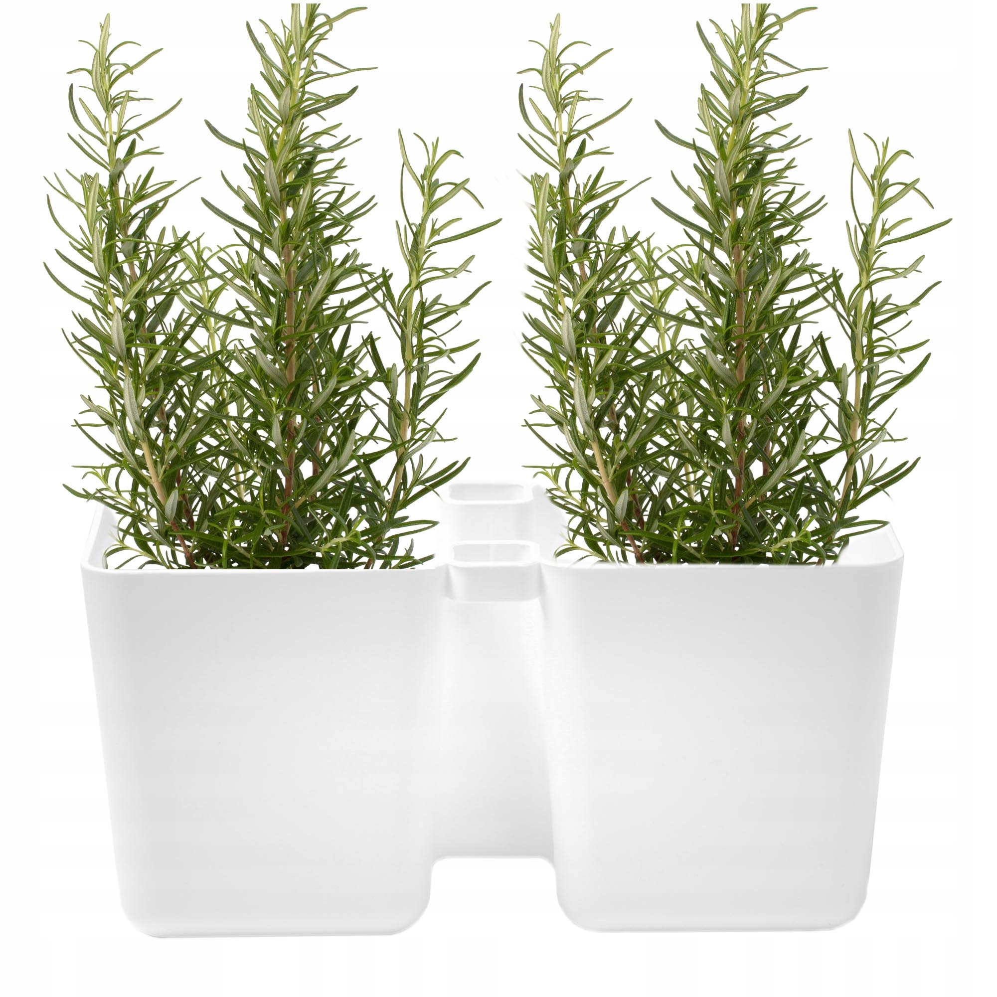 DONICZKA NA ZIOŁA DONICA DONICZKI + NOŻYCZKI BIAŁA