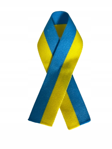 

10 x Kotylion Ukraina agrafka przypinka flaga