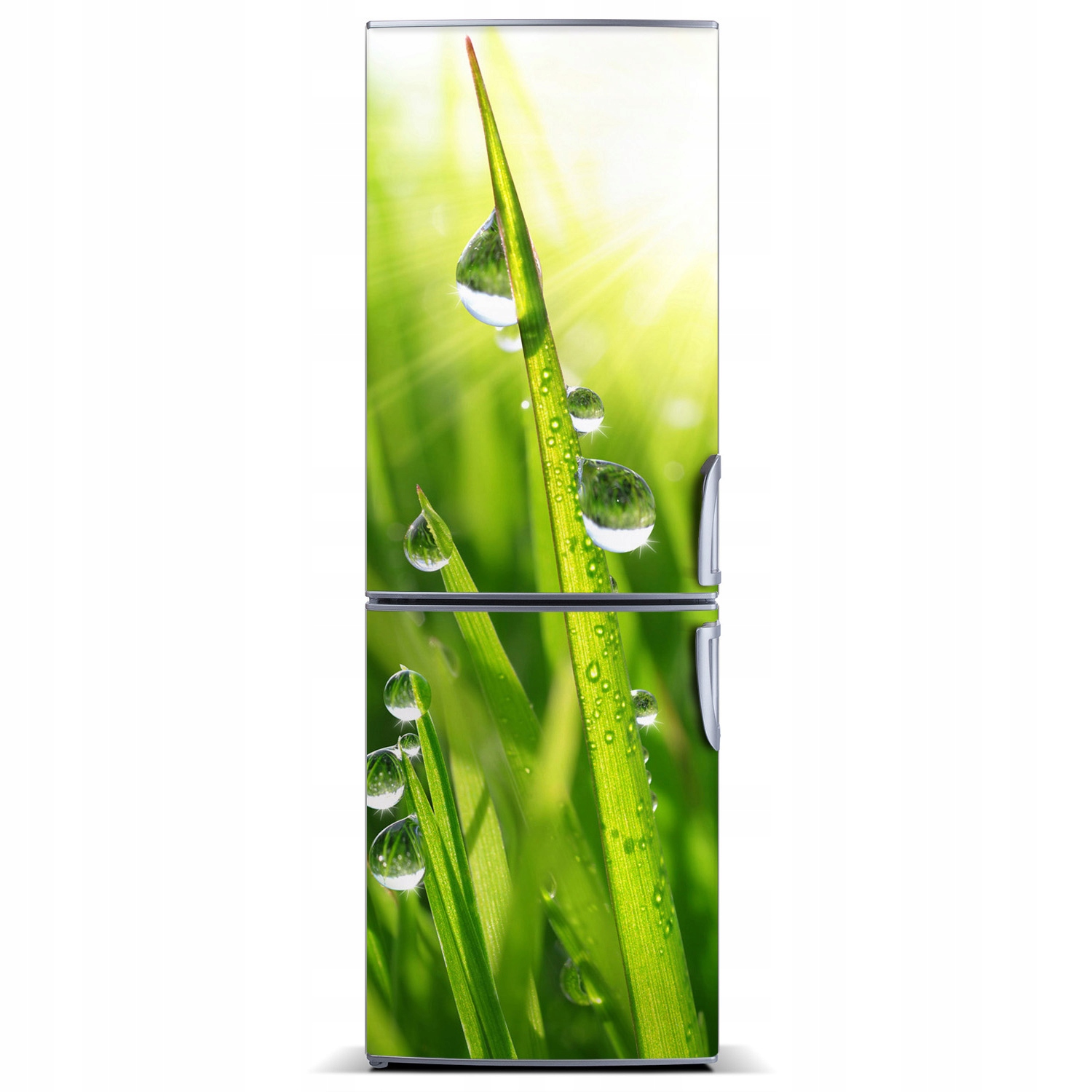 

Naklejka magnetyczna Magnes Źdźbła trawy 60x180