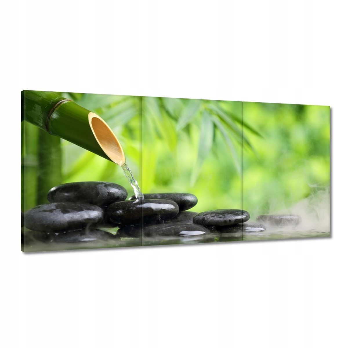 Obrazy 180x90 Sanus per aquam Zdroj