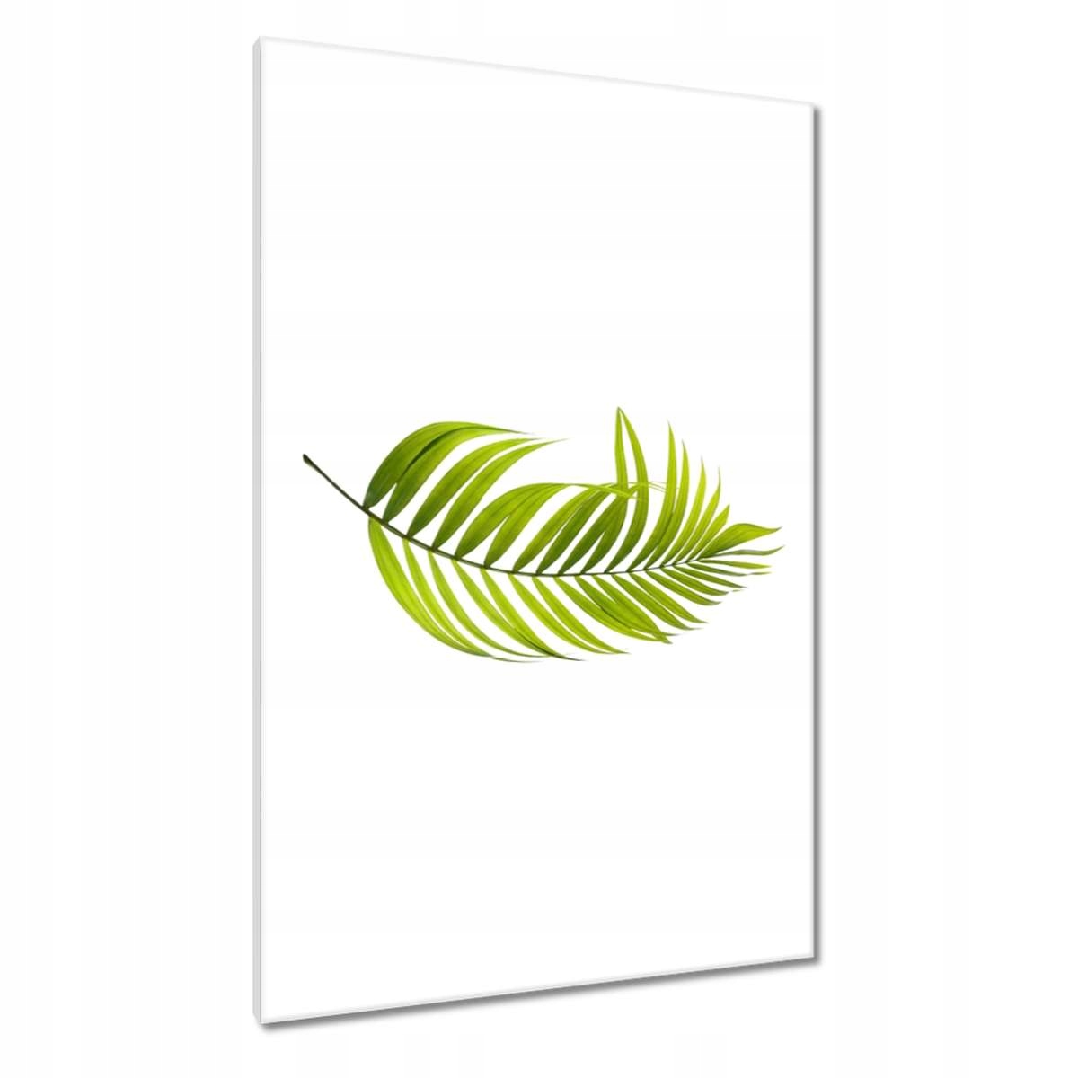 Obrazy 80x120 Zelený lístek Minimalismus