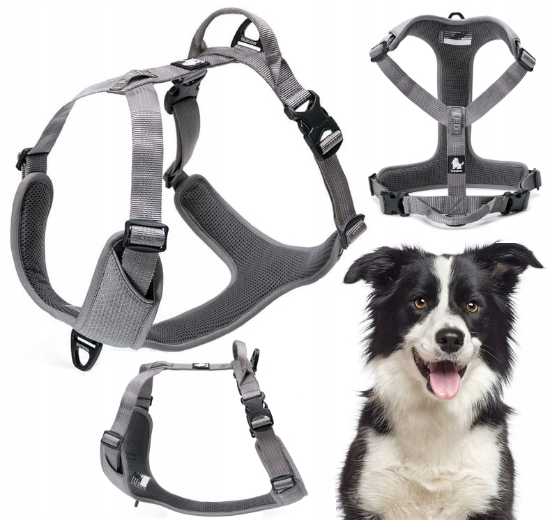 Szelki Dla Psa Odblaskowe Guard Easy Walk Mocne Truelove Lumen Szare L