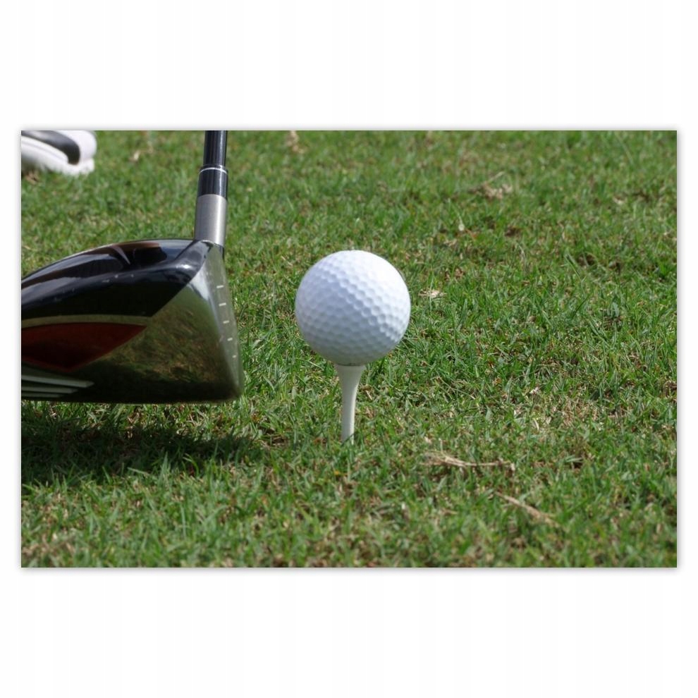

Plakaty 60x40 Golf