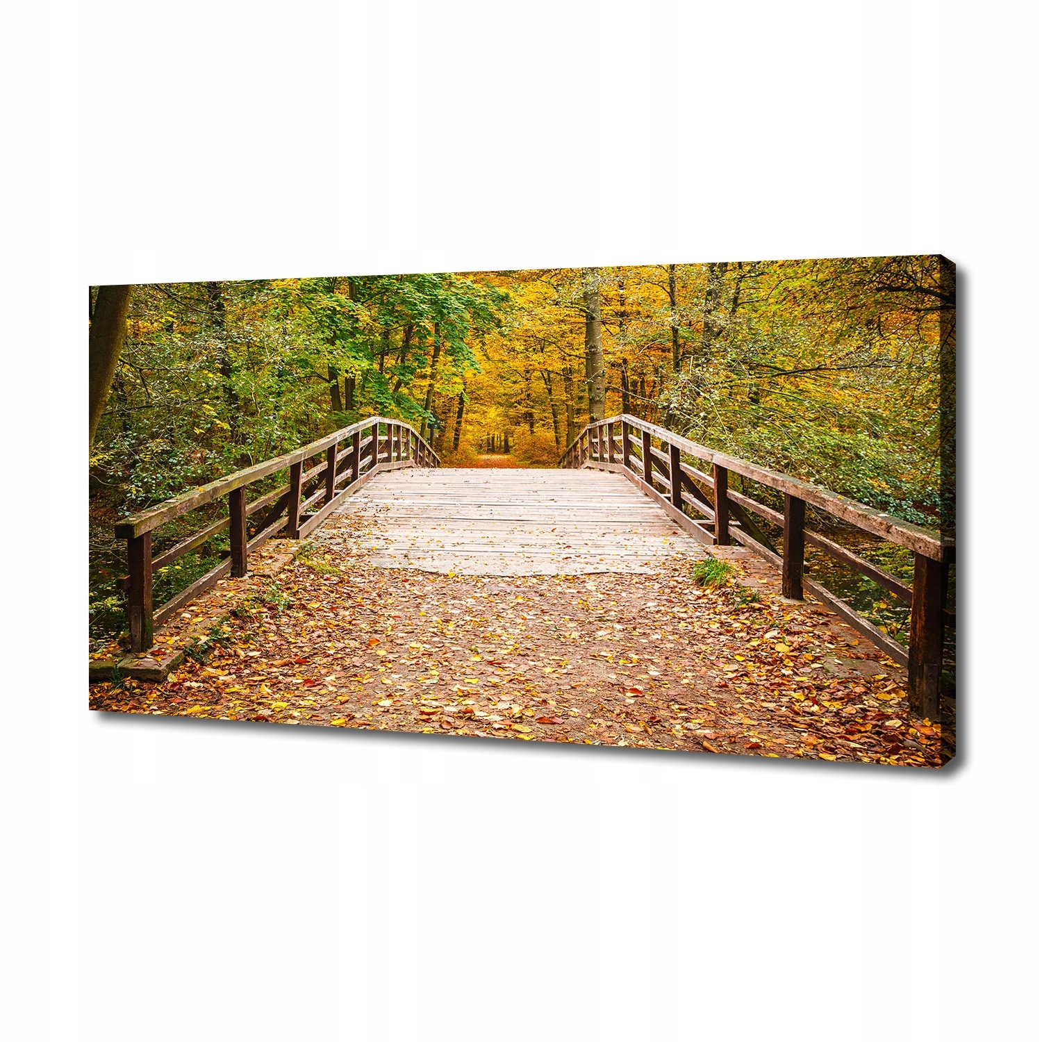 

Foto obraz na płótnie Most w lesie jesień 140x70cm