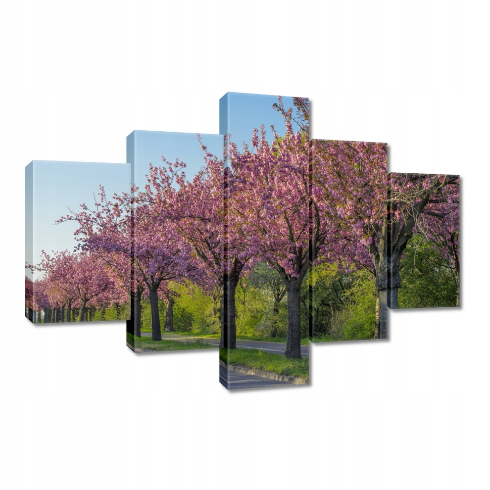 

Obrazy 100x70 Drzewo Drzewa Widok