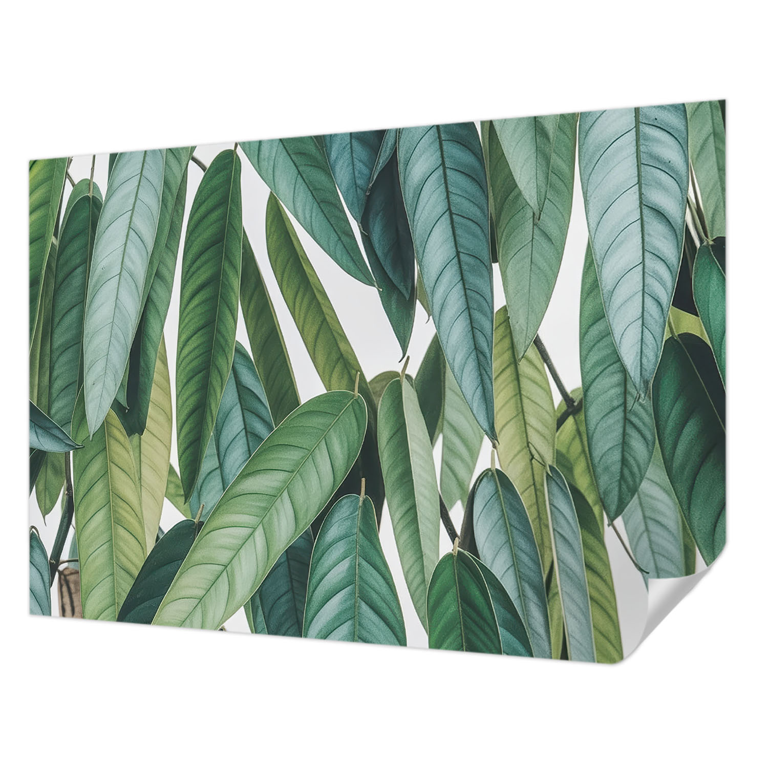 Fototapeta Samolepicí Ideální přilnavost Přírodní listy 208 x 146 cm