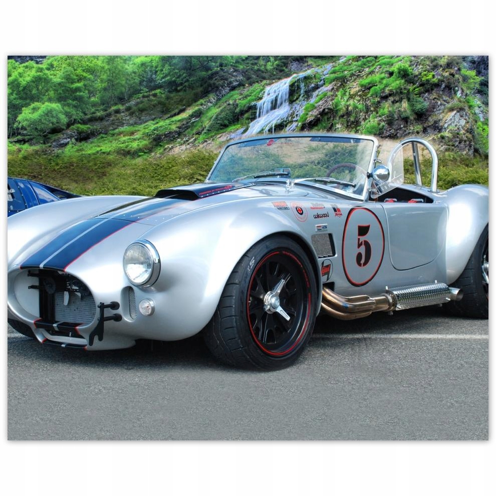 

Plakat 50x40 Shelby