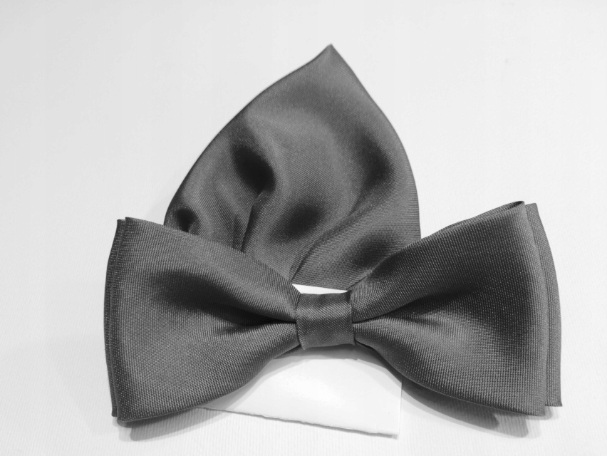 

Popielata Szara Mucha Muszka Z Wypustką Poszetką