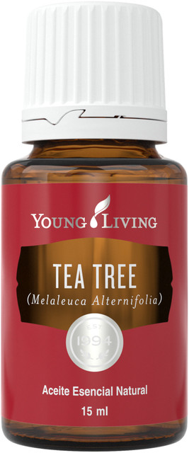Young Living Tea Tree olejek 15 ml drzewo herbaciane