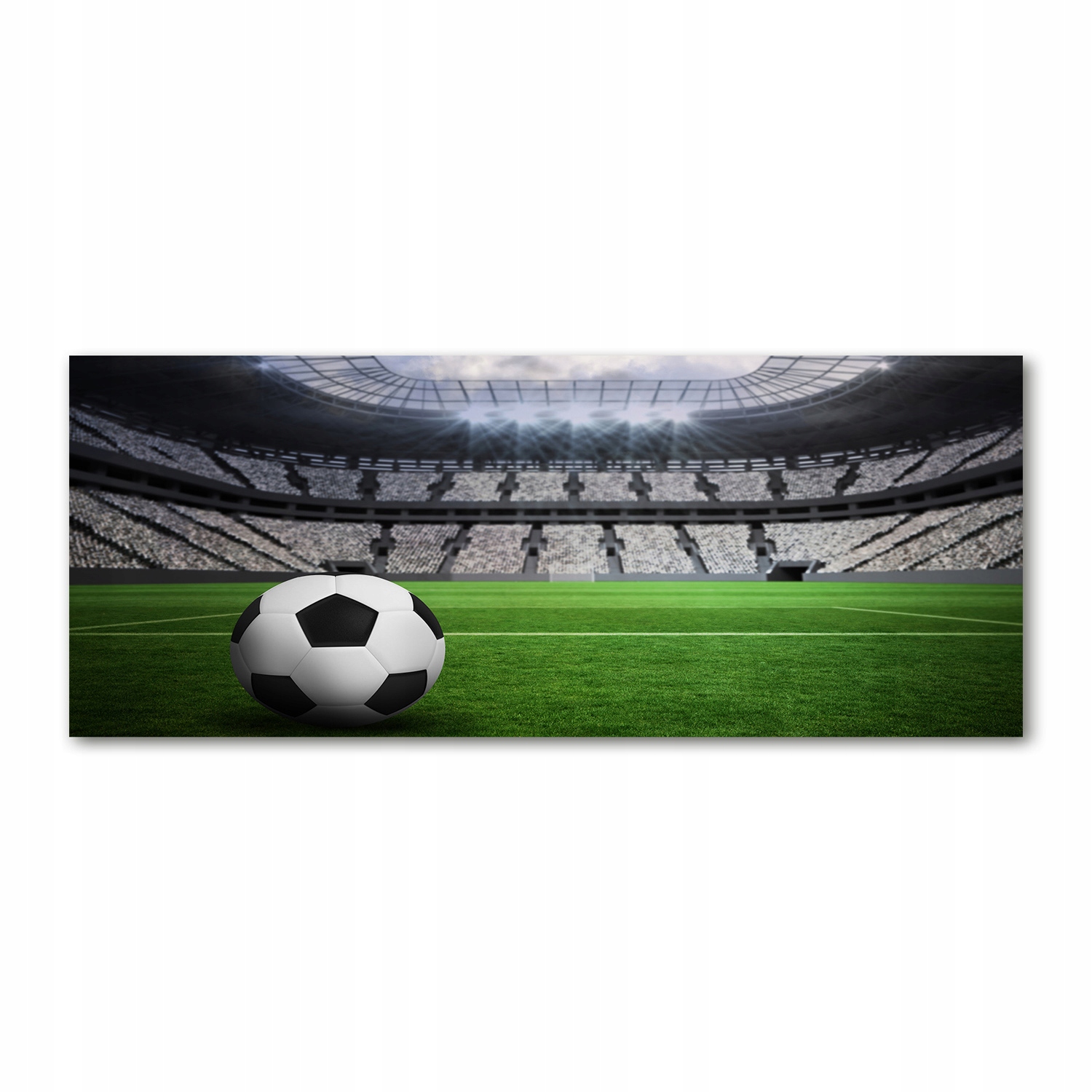 

Foto obraz szkło akryl Piłka na stadionie 125x50cm