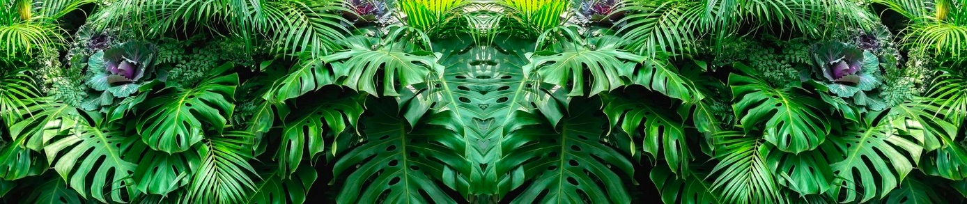 WINGS FALCON zestaw 4w1 ABS ,LM poszerzane, KOLORY Kolor wielokolorowy