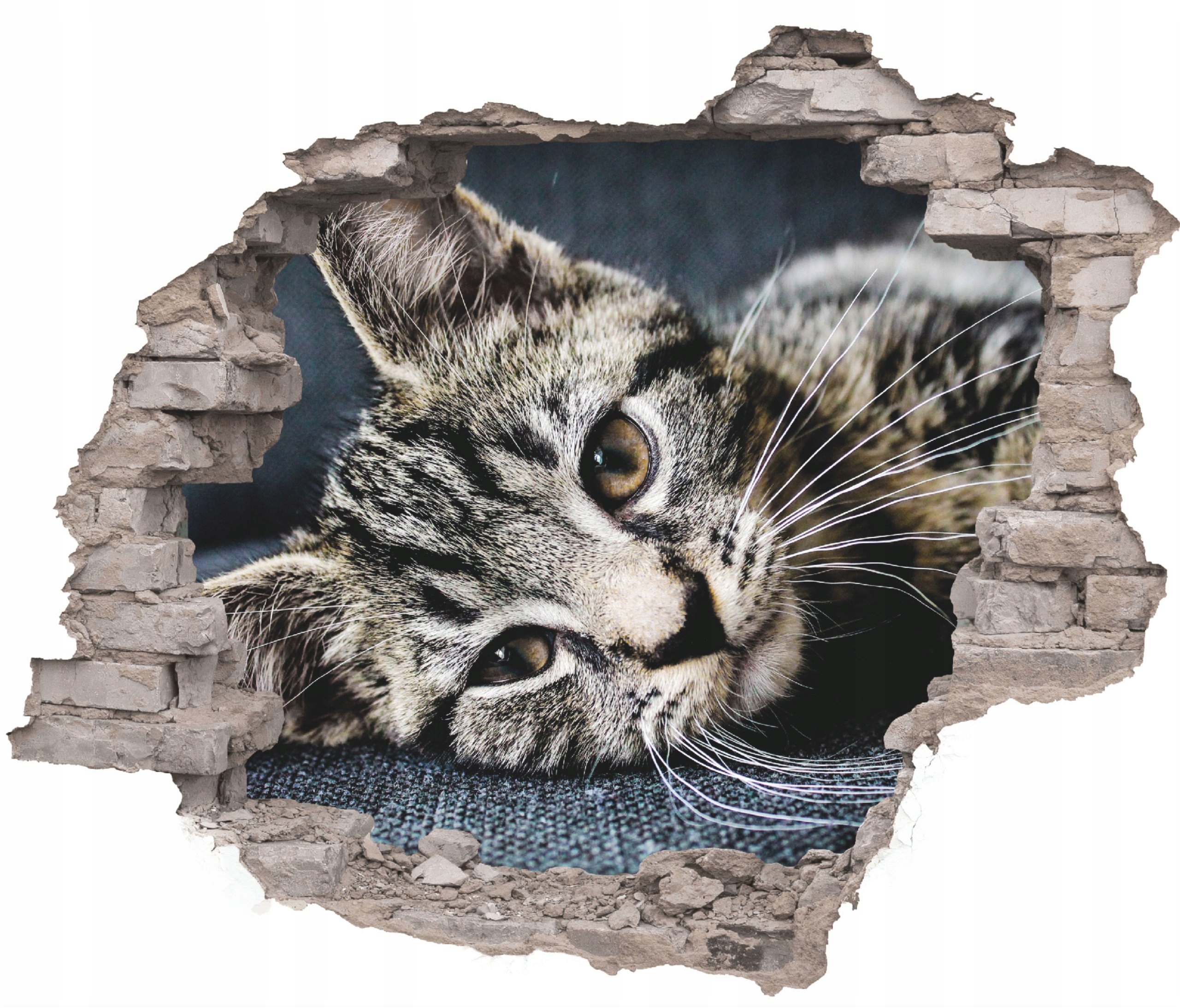 

Naklejki Na Ścianę 3D Cegła Z Widokiem zwierzęta